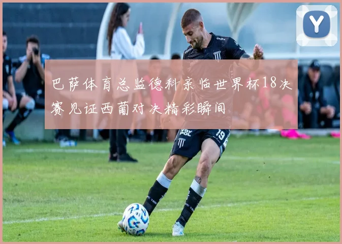 巴萨体育总监德科亲临世界杯18决赛见证西葡对决精彩瞬间