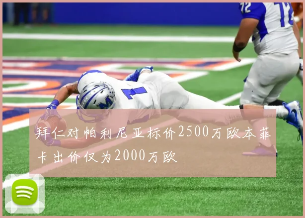 拜仁对帕利尼亚标价2500万欧本菲卡出价仅为2000万欧